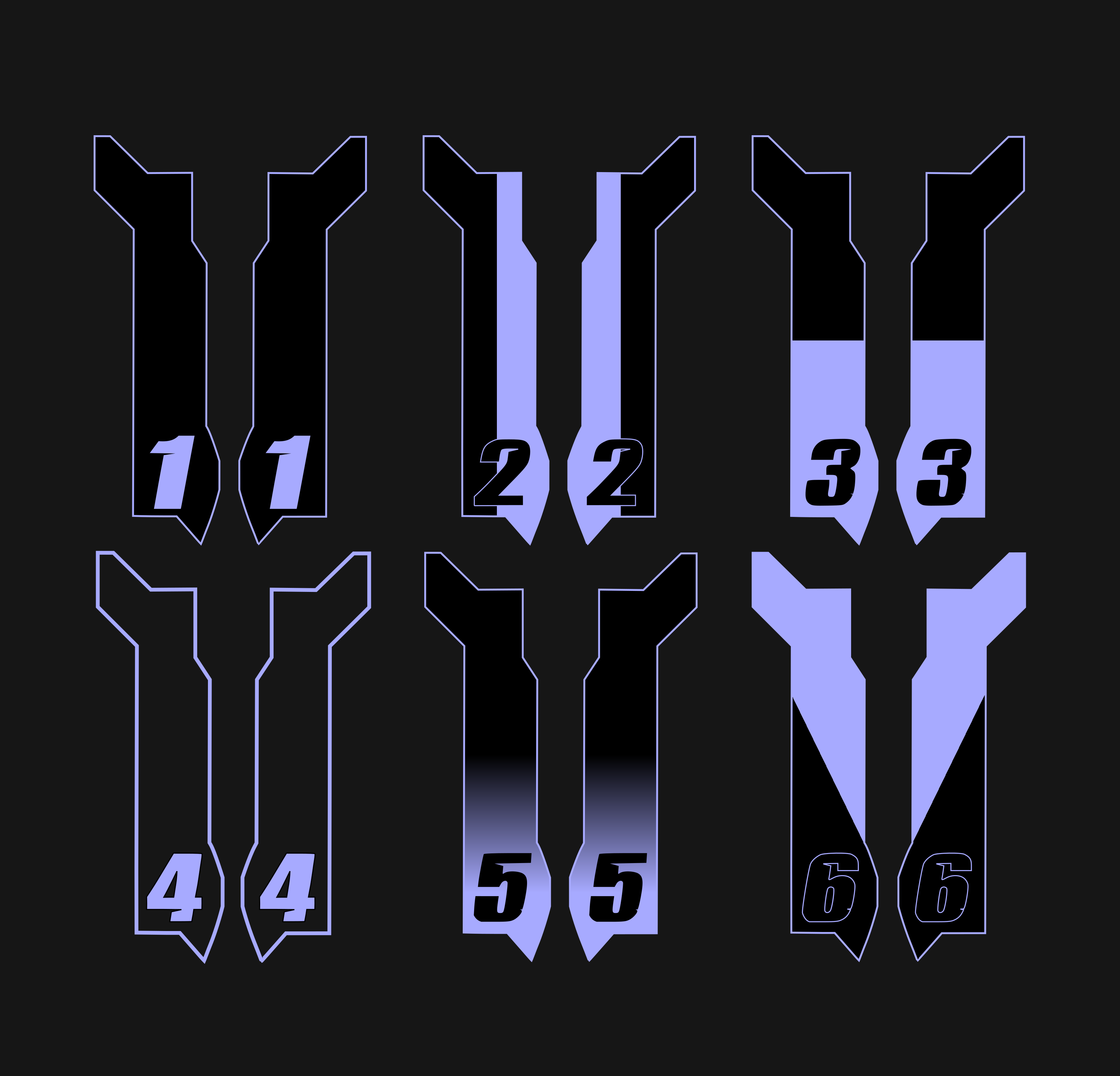 Custom Eride Pro SS 2.0 Fork Guard Decals